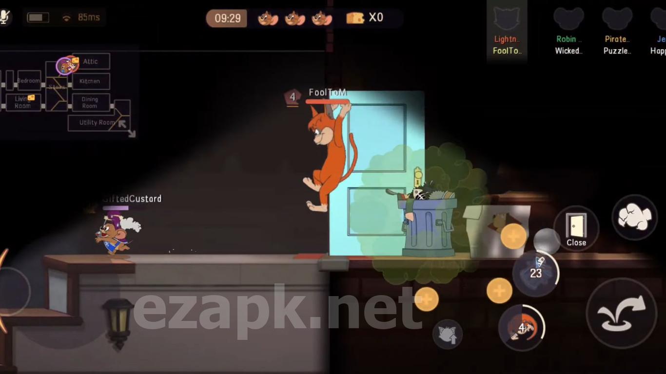 Tom and Jerry: Chase