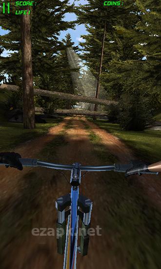 Bike dash