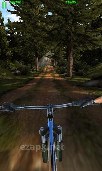 Bike dash
