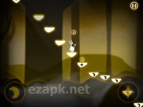 Pursuit of light