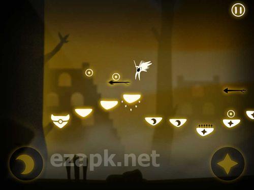 Pursuit of light