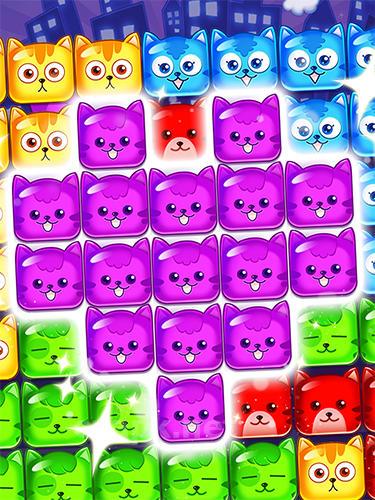 Pop cat