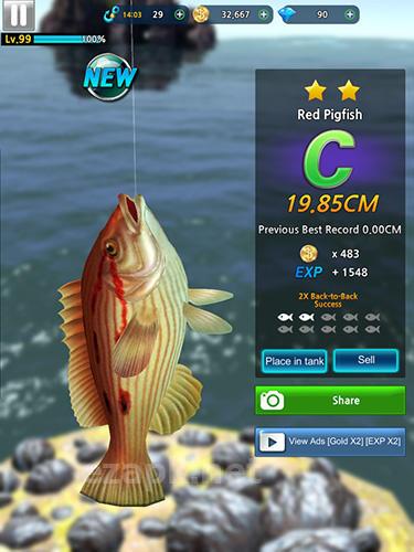 Monster fishing 2018