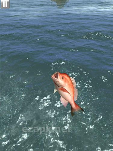 Monster fishing 2018