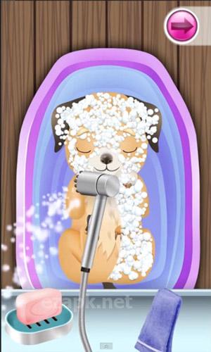 Baby pet: Vet doctor