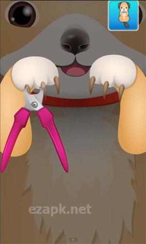 Baby pet: Vet doctor