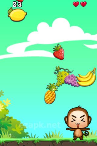 Super monkey: Fruit