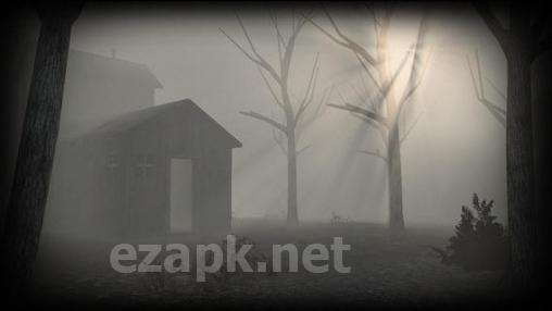 Slender rising 2