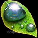 Droplets