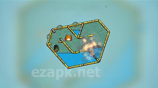Hasty hamster and the sunken pyramid: A water puzzle