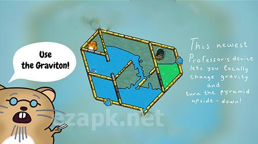Hasty hamster and the sunken pyramid: A water puzzle