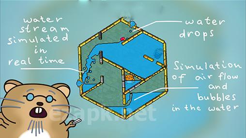 Hasty hamster and the sunken pyramid: A water puzzle