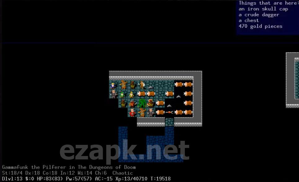 NetHack