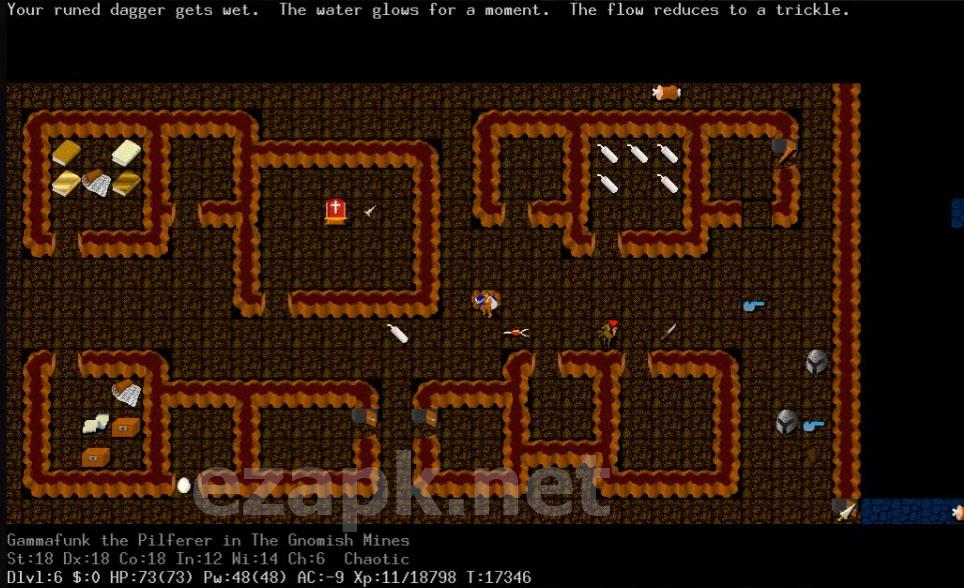 NetHack