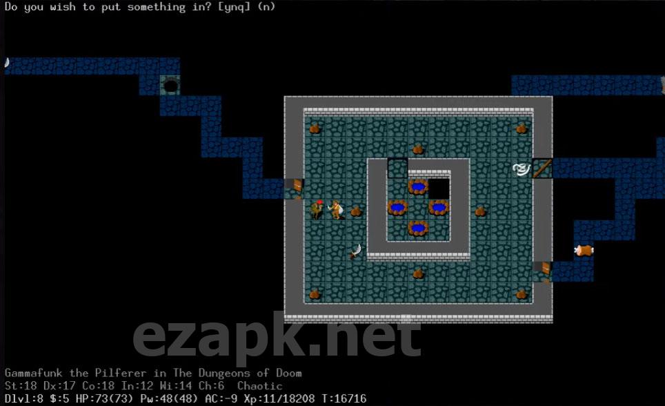 NetHack
