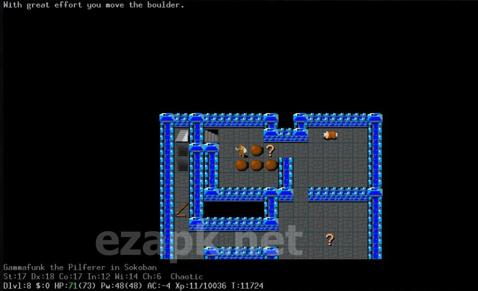NetHack