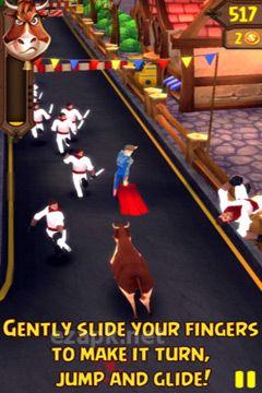 Angry Bulls 2