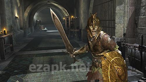 The elder scrolls: Blades