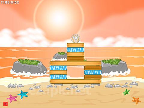 Hamster fall