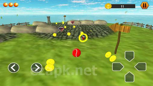 Red ball adventure