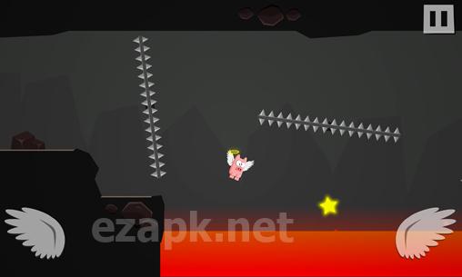 Pigs can't fly