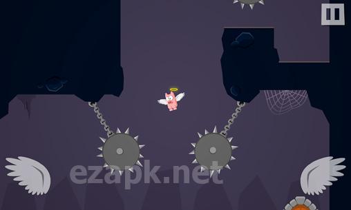 Pigs can't fly