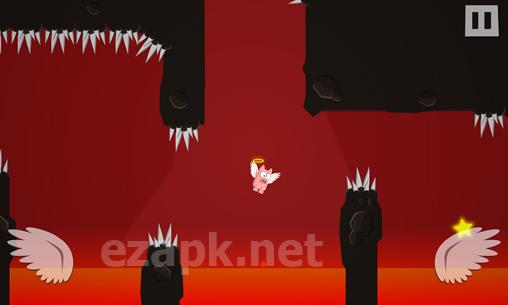 Pigs can't fly