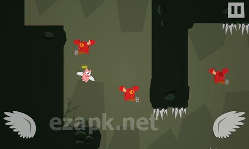 Pigs can't fly