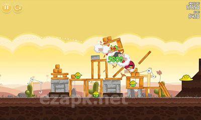 Angry Birds