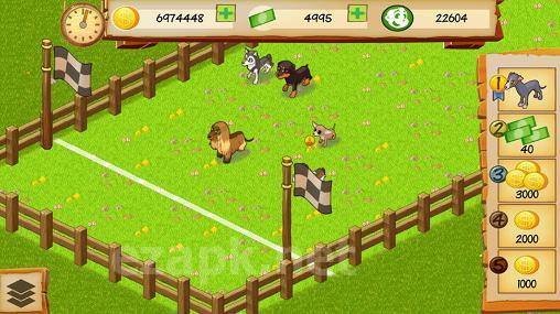 Dog park tycoon