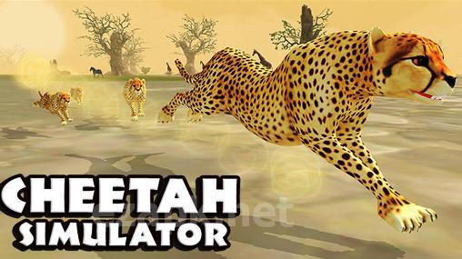 Cheetah simulator