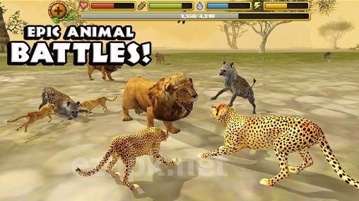 Cheetah simulator
