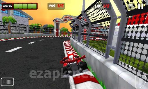 Go karts 3D