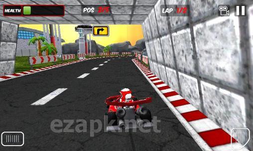 Go karts 3D