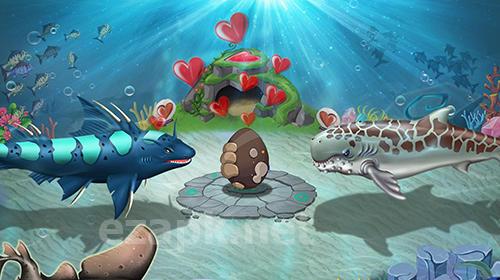 Shark world