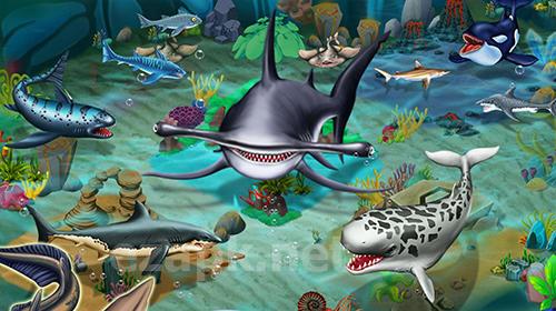 Shark world
