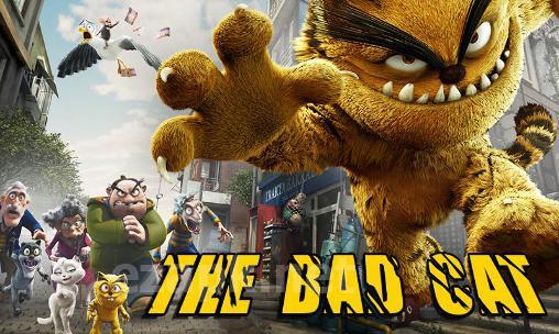 The bad cat