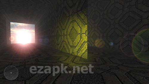 Fugu maze