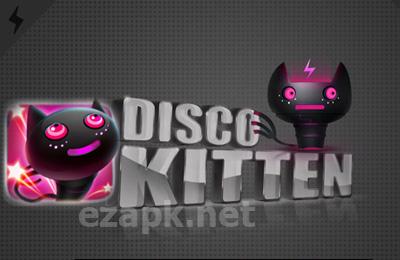 Disco Kitten