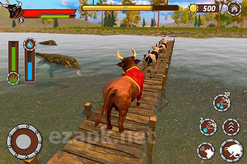 Bull family simulator: Wild knack