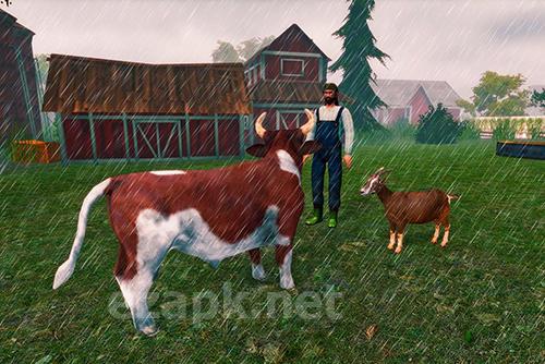 Bull family simulator: Wild knack