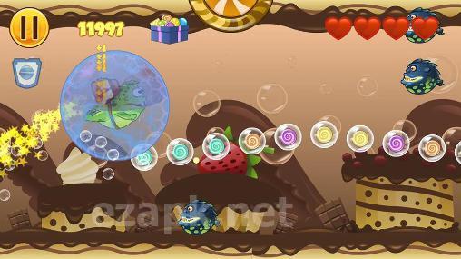 Frog candys: Yum-yum