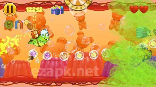 Frog candys: Yum-yum