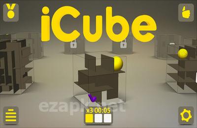 iCube
