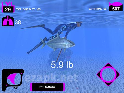 Freediving: Hunter