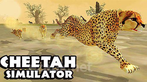 Cheetah simulator