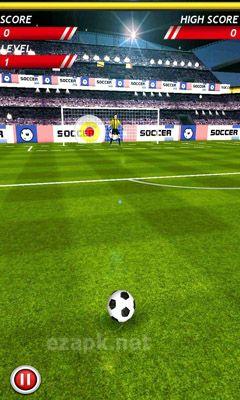 Soccer Kicks