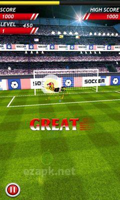 Soccer Kicks