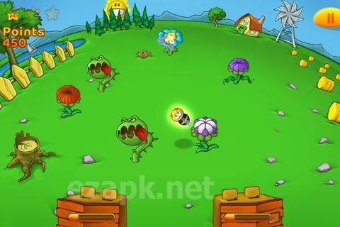 Bee farm