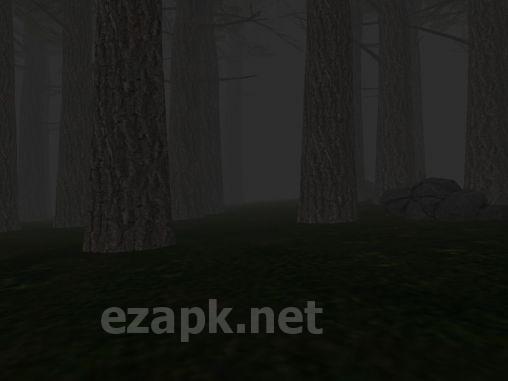 Trapped in the forest